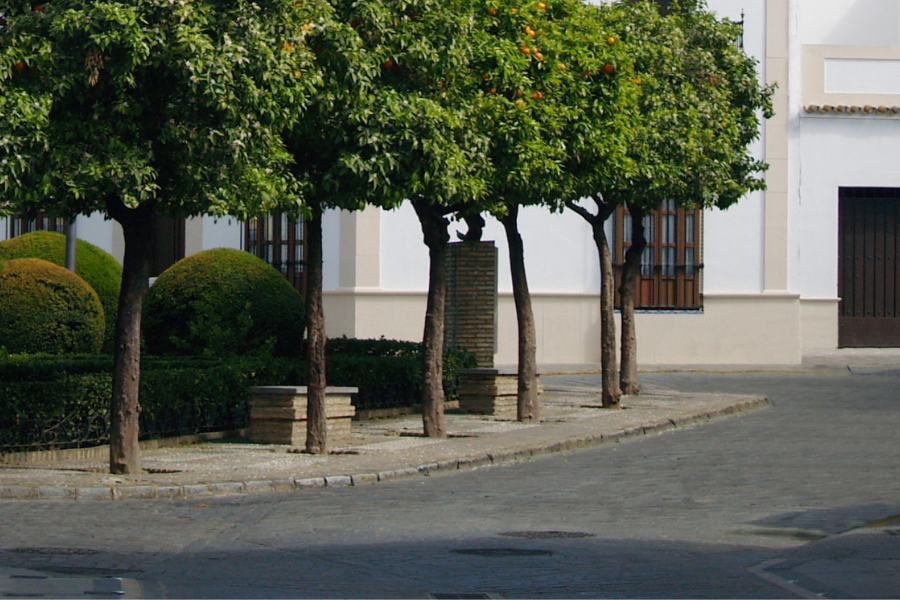 Licencia Vados Castellar del Vallès
