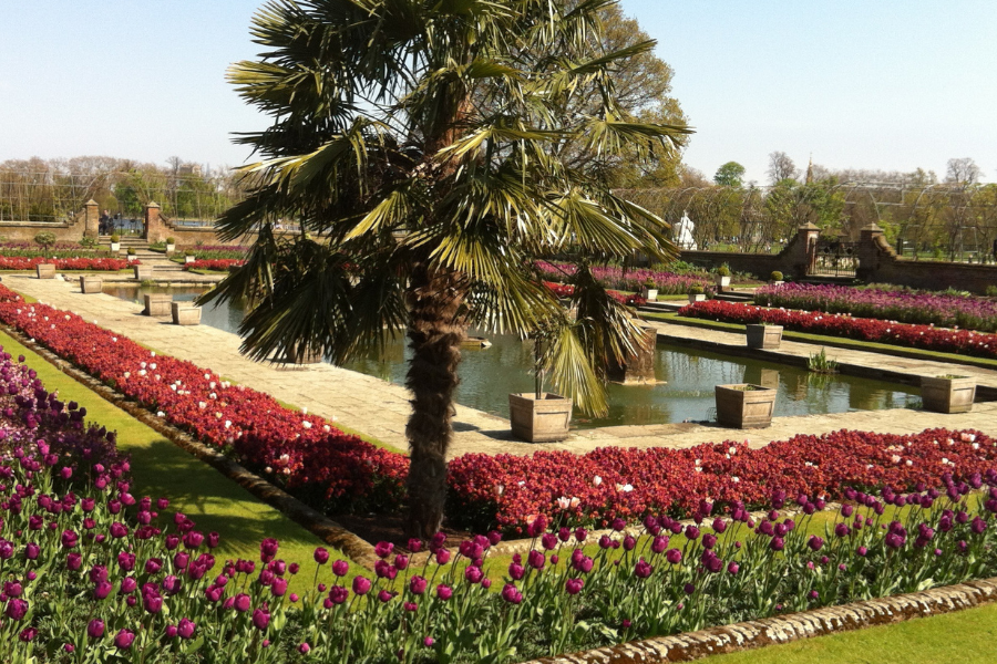 Acondicionamiento de jardines Argentona