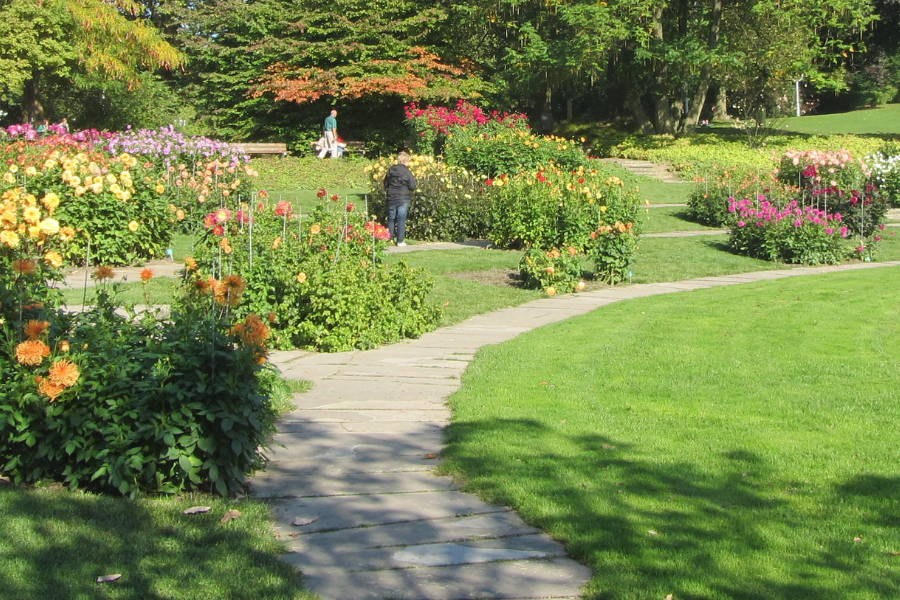 Obras de jardín en Pineda de Mar