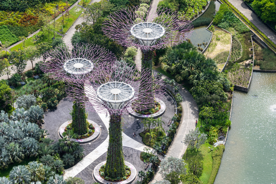 Reforma de jardines Montgat